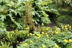 I-pro-zamokrenou-zahradu-se-najde-cela-rada-krasnych-rostlin-ktere-si-s-takovymi-podminkami-poradi