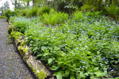 Zvlast-slozite-to-muze-byt-na-svazitem-pozemku.-Voda-totiz-steka-k-pate-kde-muze-dochazet-ke-skrytemu-zamokreni