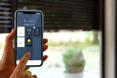 rolety_scn_53504680320_o