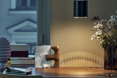 5577074_Pendant_light_A110_On_master