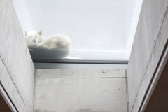 pha-zasadeny-house-matej-hakar-28