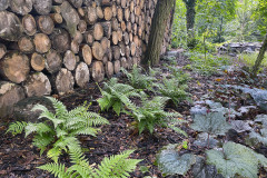 7A12623A-40C7-4F0A-85B3-01CCAB3C827F