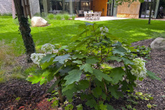 989D43F4-8455-414E-88B6-8CAC3A613081