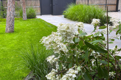 F3BDBF25-F636-4994-A339-4A118272D7D2