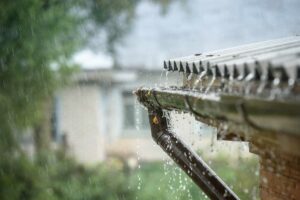 Využívaním dažďovej vody môžete znížiť náklady na bývanie. Poradíme vám, ako na to